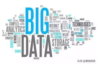 金融服務鄉(xiāng)村振興 農險的創(chuàng)新與發(fā)展與互聯(lián)網數據服務的融合